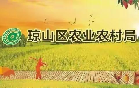 琼山区农业农村局局属动物疫病预防控制中心召开中心负责人办公会议