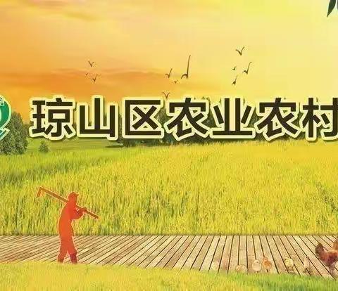 琼山区农业农村局局属疫控中心召开作风整顿建设年之“认真自查、主动说明、自觉净化”专项行动动员暨警示教育会