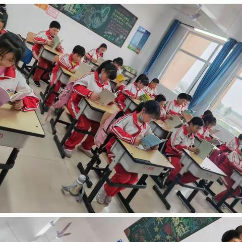 根植和雅文化，培育文雅少年        ——五年级“和”四大名著之旅