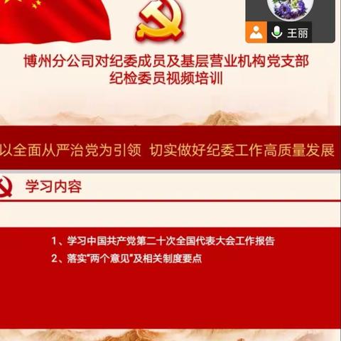 博州分公司对纪委成员及基层营业机构党支部纪检委员视频培训