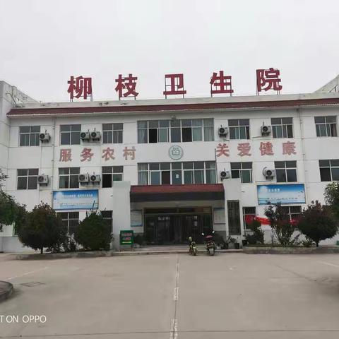 柳枝卫生院召开严重精神障碍患者家属护理教育培训会