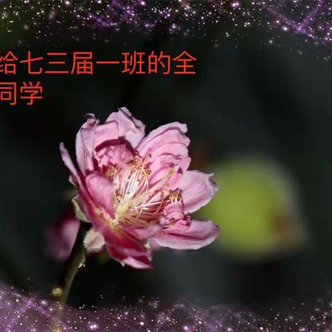 同学每年相聚一刻！