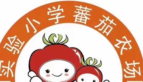 我是亚运小主人、一起向未来