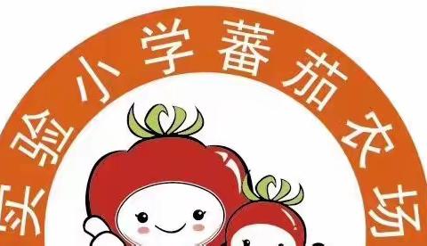 又是一年春草绿.梨花风起正清明 ——三（5）班综合实践活动