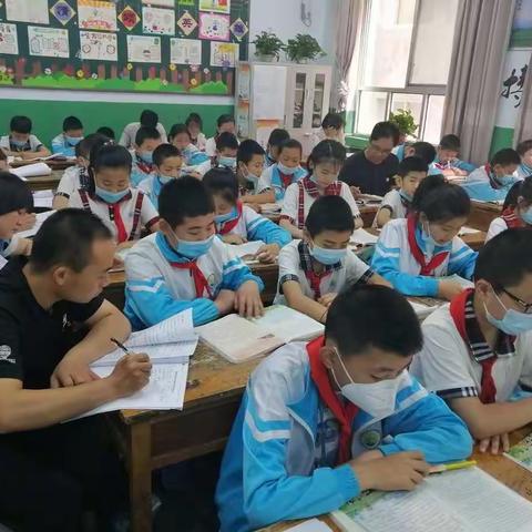 这个夏天，我陪你走过——武都区葆真小学五年级八班工作随笔