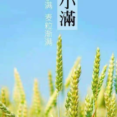 初夏迎小满，万物皆欢欣——草莓班二十四节气小满主题活动