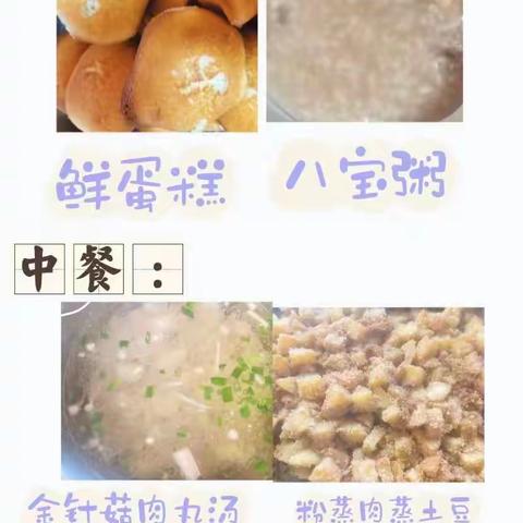 智慧树大二班第三周精彩回顾