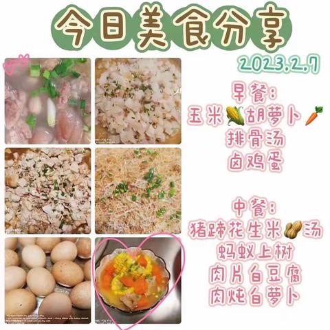 智慧树大二班快乐第一周