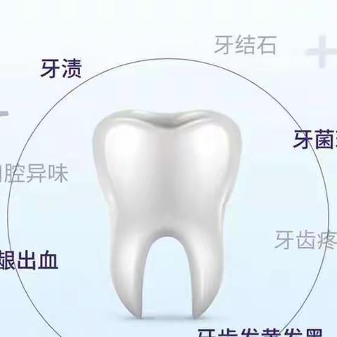 供销商厦携手舒客厂家推出特价商品