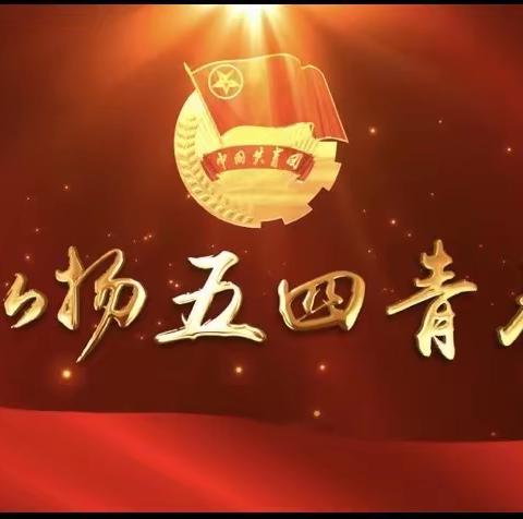 传承红色基因 争当医护先锋