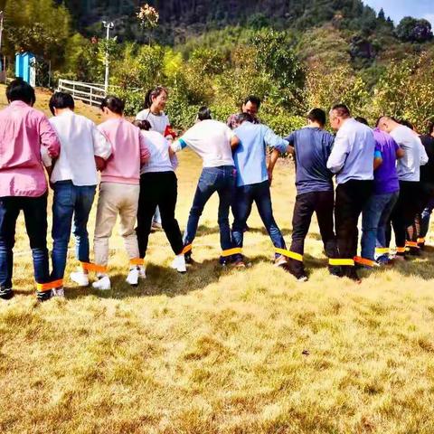 走入金秋 感受自然 重拾童心— 松阳县机关事务保障中心工会秋游活动纪实