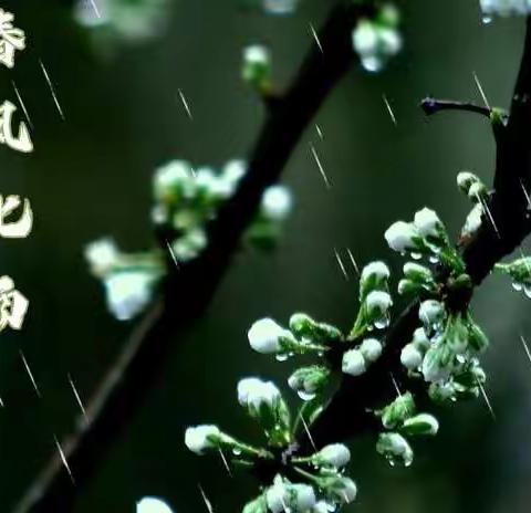 教育随笔‖春风化雨，润物无声