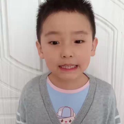 滨州教育实验幼教集团清怡园大班宝宝给大家讲《蝙蝠的自述》🥰保护野生动物，尊重生命 🦝🐻🐼🐵🦡