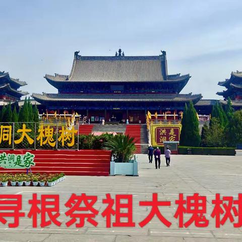 寻根祭祖大槐树