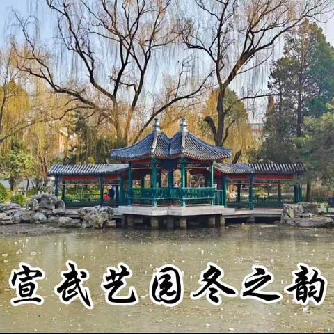 宣武艺园冬之韵