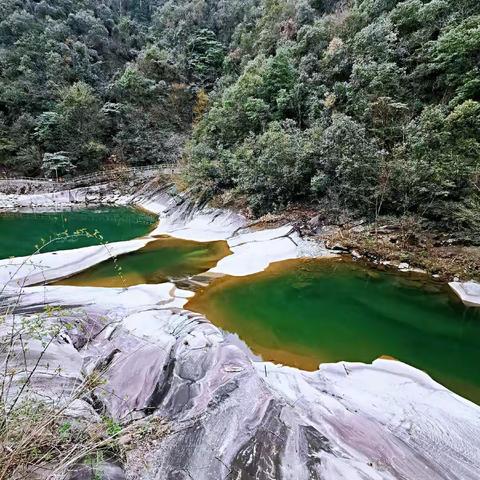 彩串翡翠在猴河