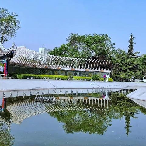 盈盈绿色，浅尝夏意