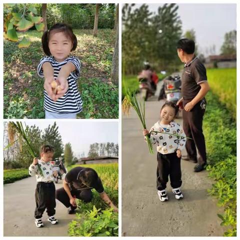 “最美秋分，幼见丰收”——康庭茗苑幼儿园小班组丰收节活动