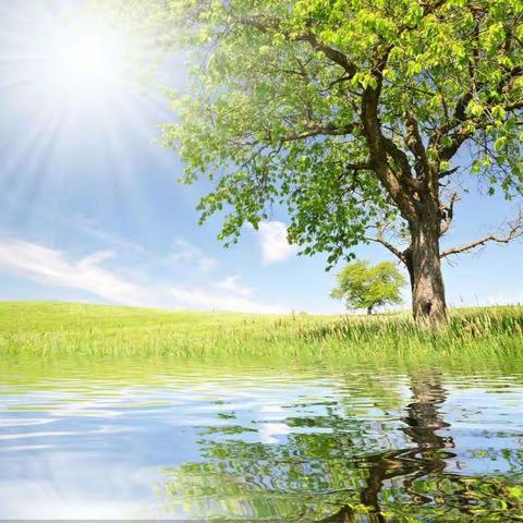 【亲亲德育】5-沂堂镇中心小学二年级三班疫情期间心理健康教育