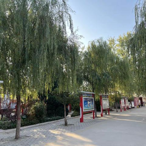 预防慢性病，从健康生活习惯做起。——北满菜小学