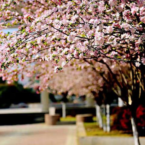 阅读伴我静待花开