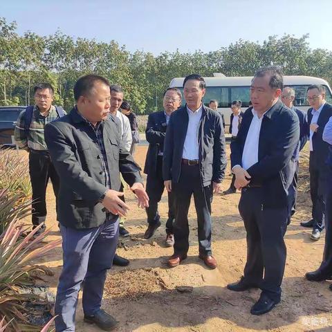 省政协党组副书记、副主席李国梁到光吉村开展“抓党建促乡村振兴发展”专题调研。