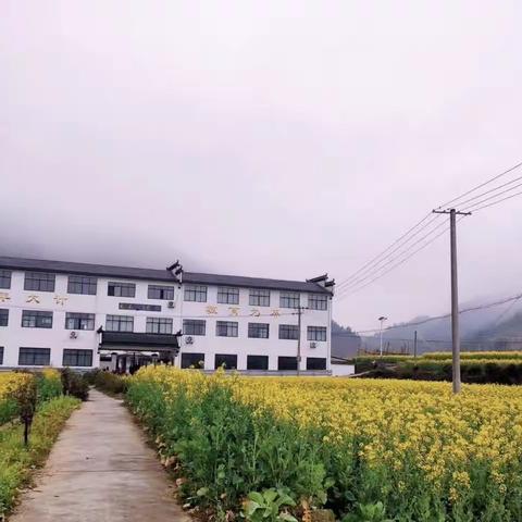 溪头龙尾小学第八周工作简报（2023.3.27—2023.3.31）