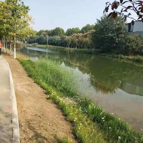 黄桥实验幼儿园——最美秋天