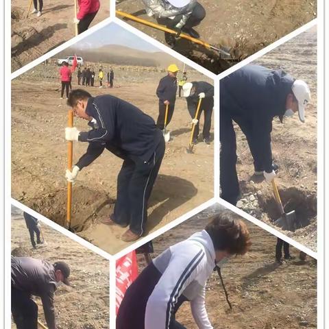 商务局党支部义务植树活动