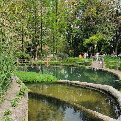 活水公园（十三字辘轳体）