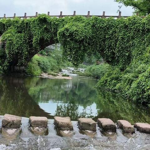 上里古镇●桥（采桑词）