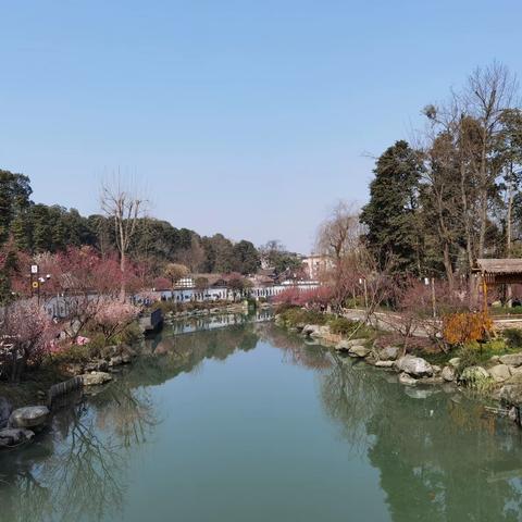 浣花溪（借韵填诗词）