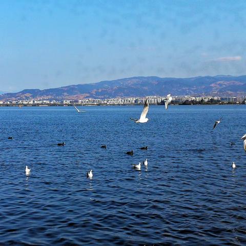 邛海风光（借韵填词）