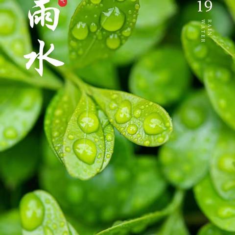 漫谈节气～雨水