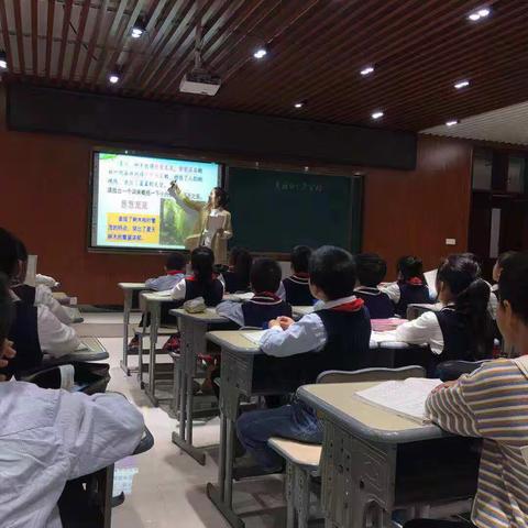 用磨砺让七尺讲台熠熠生辉——记徐州市新元小学三年级语文组新教师公开亮相课活动