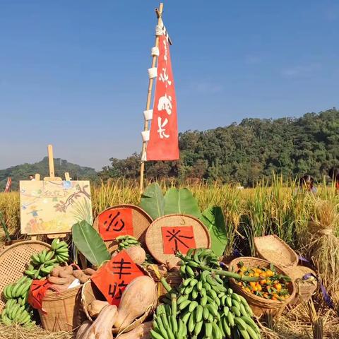 月芽家🌙周小结回顾（12.2-12.6）