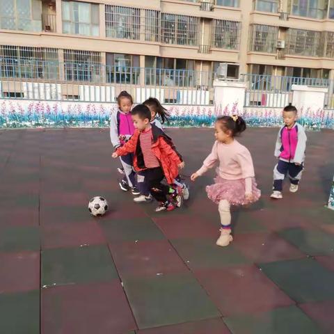 球在脚下     足够精彩——灵武市第十三幼儿园幼儿足球特色活动（第1期）