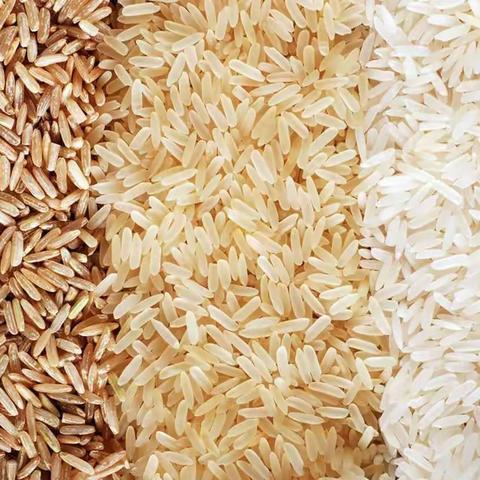 all about rice