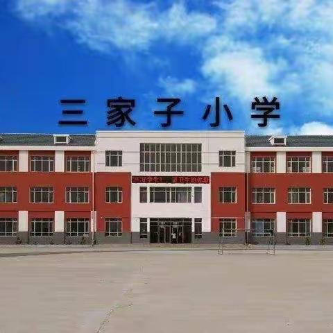 开发区三家子小学第33个爱国卫生月活动