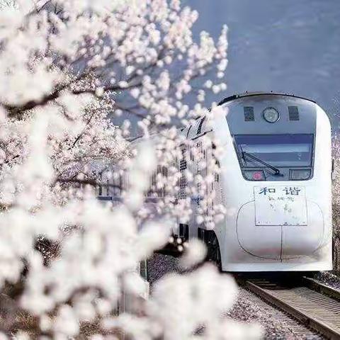 🌸🌸《春天的列车🚄》——铁岭市实验学校幼儿园大六班线上快乐课堂