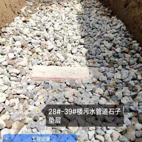 驻东营市东营区胜利油田家属区“三供一业”分离移交维修改造项目（第二批）第十二标段202005029