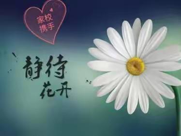 家校共育   静待花开---东洋小学家长会