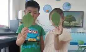 第三周《我和大树玩》