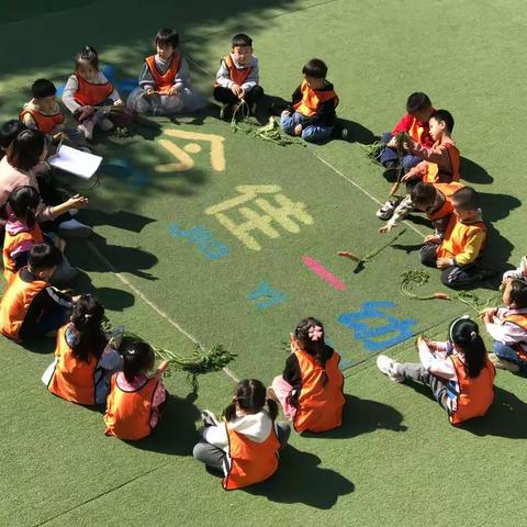 萝卜的探索之旅