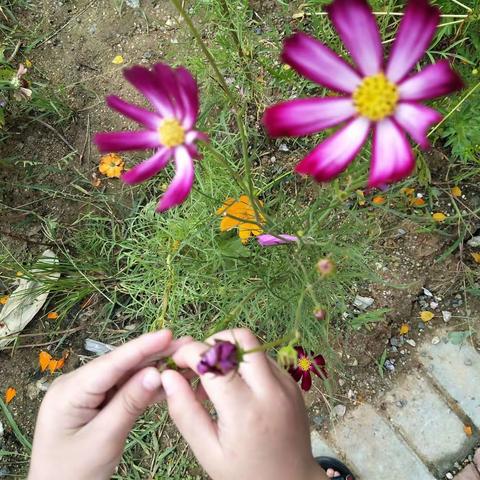 曾经的孩子，现在的父母