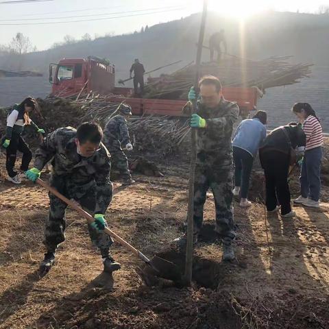 桃园街道组织基干民兵开展义务植树活动