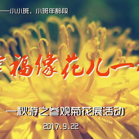 第二实验幼儿园大型亲子社会实践活动秋游菊花展