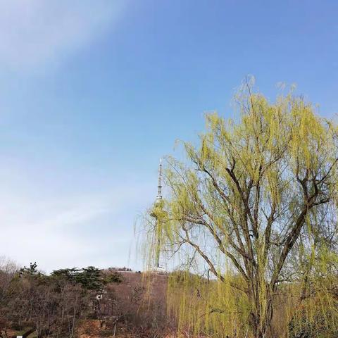 “画春天”——临沂东兴实验学校2019级10班学习记