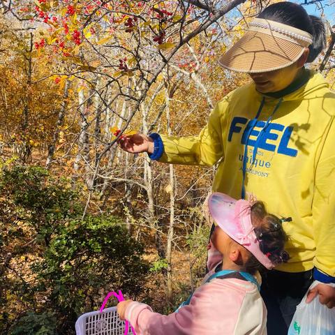 🍂捡拾落叶，感受秋天—记童馨幼儿园捡树叶活动🍂