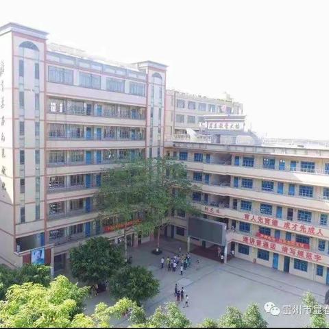 【稚雅绽笑脸，蓄势腾飞跃】                        显春一(1)班学习生活剪影